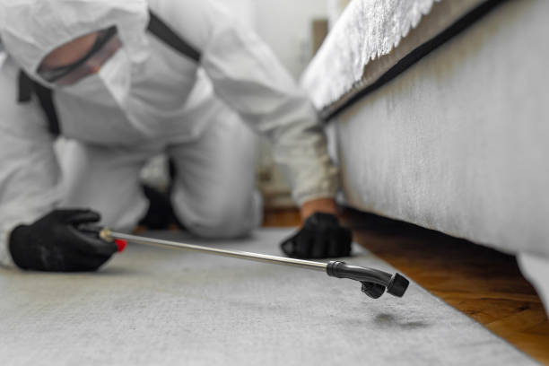 Professional Cockroach Control technician working in Northwood, IA